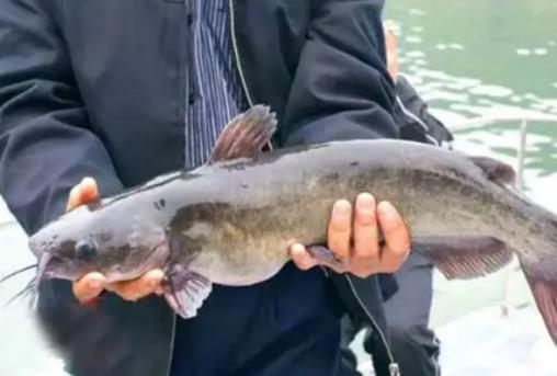 5���~��һ������������r���~���m���Bʲô�~