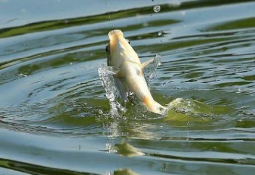 5���~��һ���������(r��n)���r(n��ng)���~���m���B(y��ng)ʲô�~