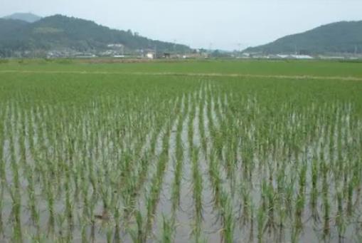 5���~��һ���������(r��n)���r(n��ng)���~���m���B(y��ng)ʲô�~