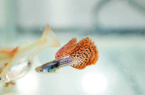 ���~��ʲô������ˮ���£��B���~Ҫ�������