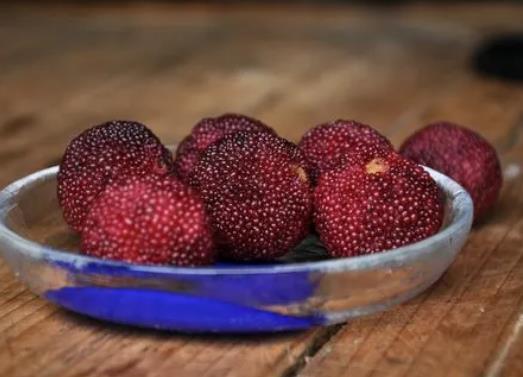 ��÷����ô�Nֲ�ɻ��ʸߣ���÷��ô�Nֲ��