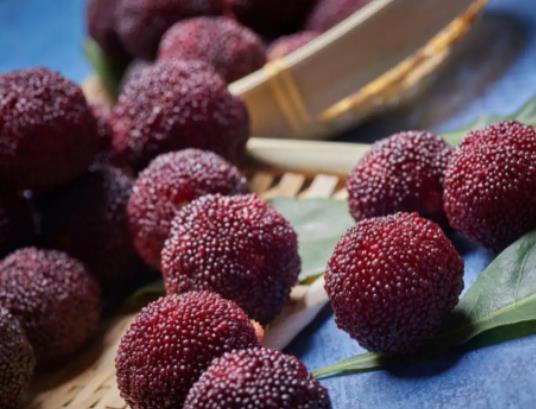 ��÷��ʲô�r���ԷN��ѣ���÷�߉����ÿ�������