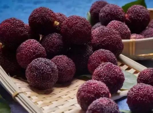 楊梅花少果少是什么原因?楊梅怎么選果 楊梅花少果少是什么原因?楊梅怎么選果