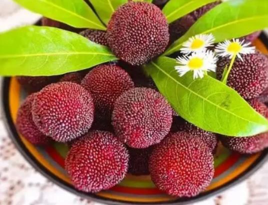 ��÷���ٹ�����ô���Σ���÷�x�t��߀�Ǻڵ�