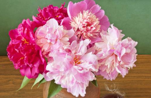 ��ʲô���ﲻ���B(y��ng)��ˎ������ˎ����ô�廨ƿ