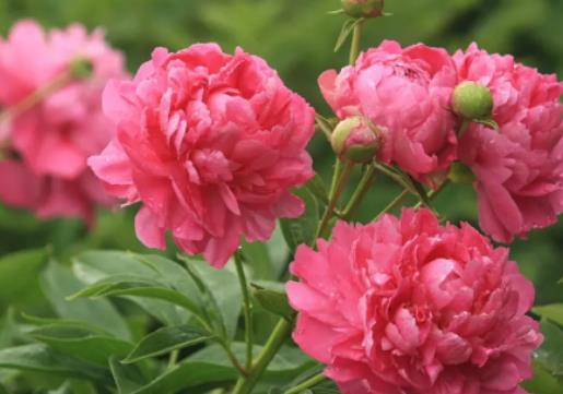 ��ʲô�Nĵ����횷N��ˎ����ˎ���Ļ��ڶ��L