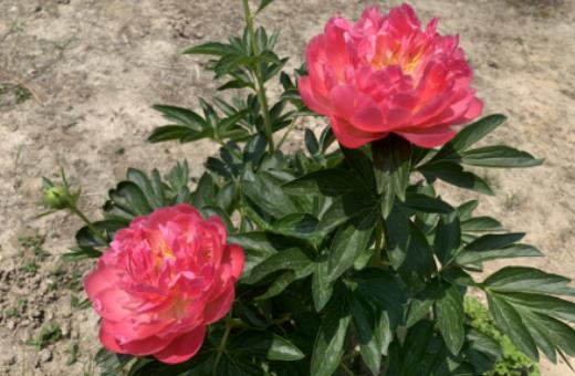 ��ʲô�Nĵ����횷N��ˎ����ˎ���Ļ��ڶ��L