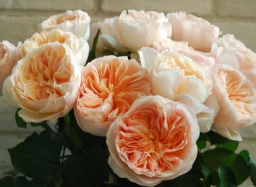 �����~õ�廨һ���_�״Σ������~õ���m�����ɻ���