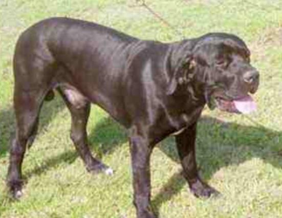 ����ʮ����B��Ȯ���а�������Ȯ�ǳ��������ձ�����ϲ�g��