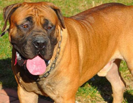 ����ʮ����B��Ȯ���а�������Ȯ�ǳ����͡��ձ�����ϲ�g��