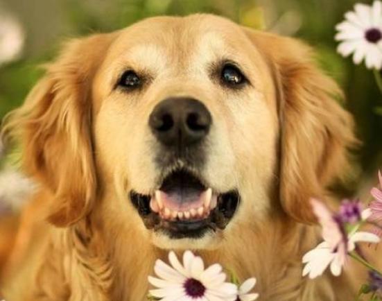 ʮ���혵�Ȯ���а񣬽�ëȮ������ȇ}��������ϲ�gճ����