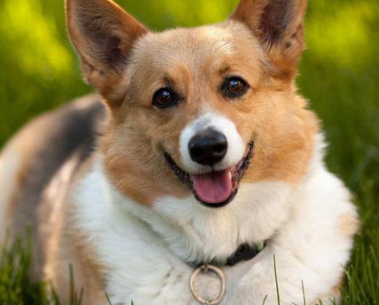 ʮ���혵�Ȯ���а�����ëȮ������ȇ}��������ϲ�gճ����