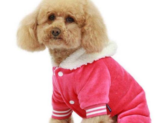 ʮ���혵�Ȯ���а�����ëȮ������ȇ}��������ϲ�gճ����