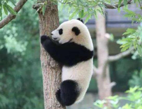 ����ʮ�����ܚgӭ�������؈���҇����������������đС