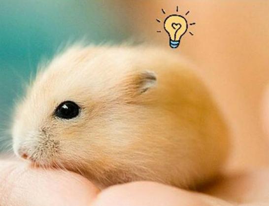 ����ʮ�����ܚgӭ�������؈���҇����������������đС