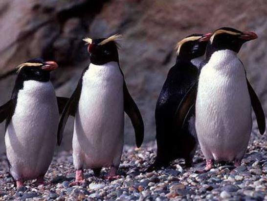 ����ʮ�����ܚgӭ�������؈���҇����������������đС