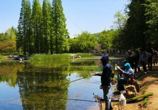 立秋后釣魚(yú)有什么技巧?立秋后釣魚(yú)是香的好還是腥的好 立秋后釣魚(yú)有什么技巧?立秋后釣魚(yú)是香的好還是腥的好