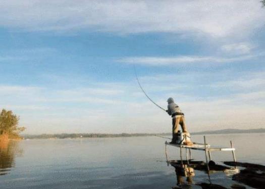 三伏天釣魚用什么打窩?三伏天釣魚釣底還是釣浮 三伏天釣魚用什么打窩?三伏天釣魚釣底還是釣浮