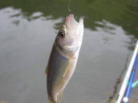 ��������~Ҫע��ʲô����������~�ö��L�ĸ�