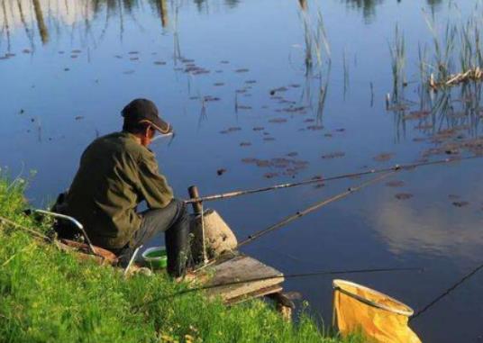釣魚怎么找魚在哪個水層?魚竿越用越軟什么原因 釣魚怎么找魚在哪個水層?魚竿越用越軟什么原因