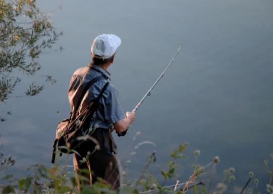 小魚鬧窩怎么釣?釣青魚用螺絲還是螺螄肉好 小魚鬧窩怎么釣?釣青魚用螺絲還是螺螄肉好