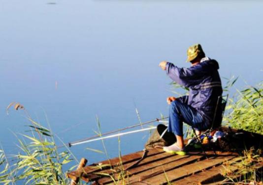 小魚鬧窩用什么餌料好?魚總是不上鉤是什么原因 小魚鬧窩用什么餌料好?魚總是不上鉤是什么原因