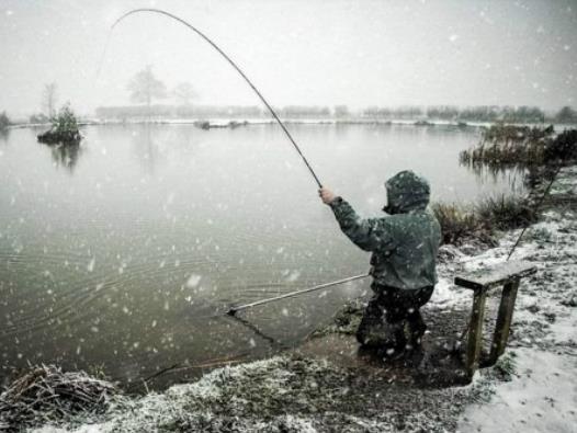 釣魚中午好上魚嗎?下雨漲水什么釣位最好釣魚 釣魚中午好上魚嗎?下雨漲水什么釣位最好釣魚