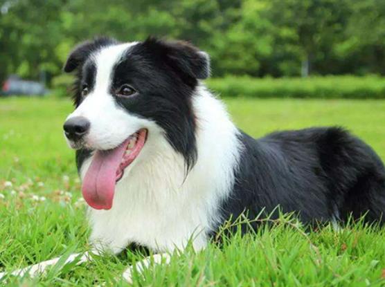 ʮ����Ȯ������߅������Ȯ��혙C�����F�eȮ��ͬ�F�D�マ��