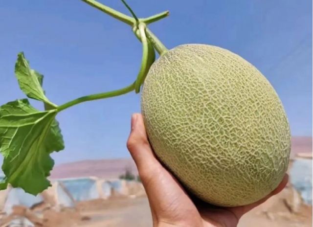 �������ܳԹ��ܹφ� ����ϺȲ�������ӆ�