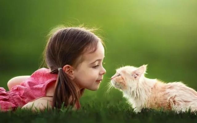 ����ϲ�g�����ĕ���Ů���� ���г�ʲô��������Ů��