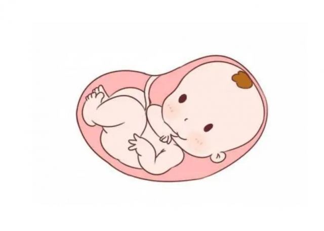 �����г�ʲô���׉�̥ һ���������Ӵ�̥ˎ