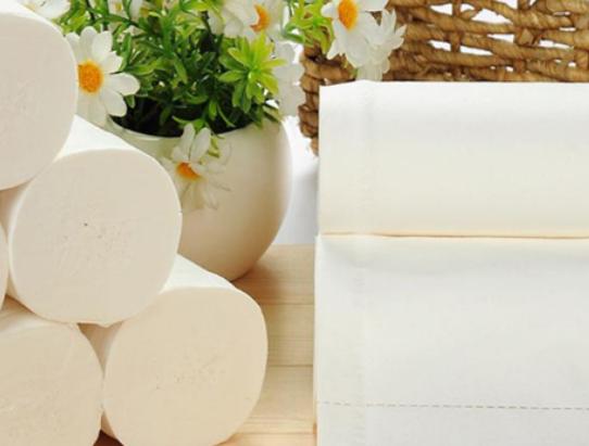 十大原木漿紙品牌排名,福百年原木漿紙、潔柔原木漿紙強韌安全 十大原木漿紙品牌排名,福百年原木漿紙、潔柔原木漿紙強韌安全