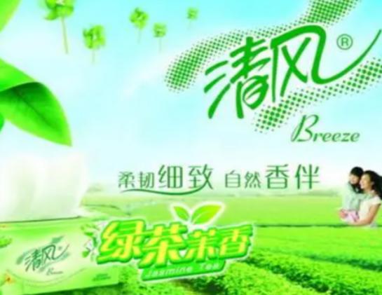 十大原木漿紙品牌排名,福百年原木漿紙、潔柔原木漿紙強韌安全 十大原木漿紙品牌排名,福百年原木漿紙、潔柔原木漿紙強韌安全