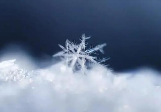 С���x����(ji��)߀�ж����죿2024��С�����