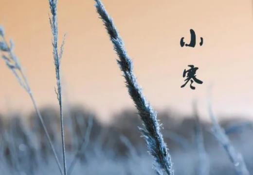 С���x����߀�ж����죿2024��С�����