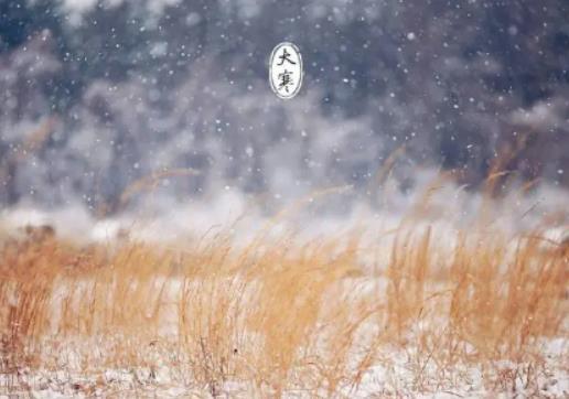 ���m������᣿2024����䴺��(ji��)�����