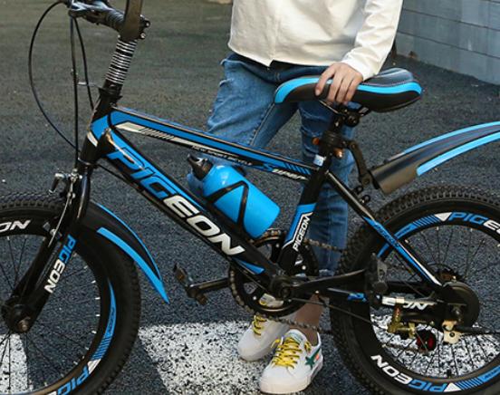 十大兒童自行車排行榜,鳳凰兒童自行車材質(zhì)環(huán)保、永久兒童自行車舒適安全 十大兒童自行車排行榜,鳳凰兒童自行車材質(zhì)環(huán)保、永久兒童自行車舒適安全