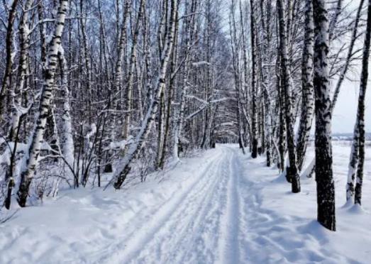 2023������Ԫ�����g����ѩ�᣿2024��Ԫ���ĕr���������