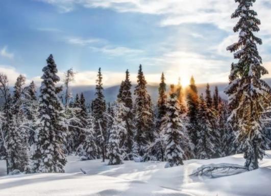 ������ѩ��ÿ����·ݣ�Ԫ��ȥ�����洩ʲô���m