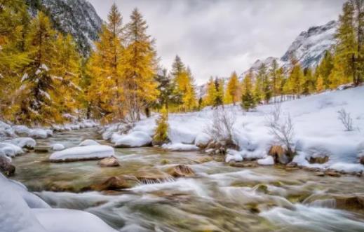 2024年元旦是最冷的時候嗎?2024年北方元旦氣溫大概多少度 2024年元旦是最冷的時候嗎?2024年北方元旦氣溫大概多少度