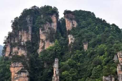 2024�ꏈ�ҽ�������Fڡ�˛]�����ҽ����Tɽÿ�궼��ѩ��