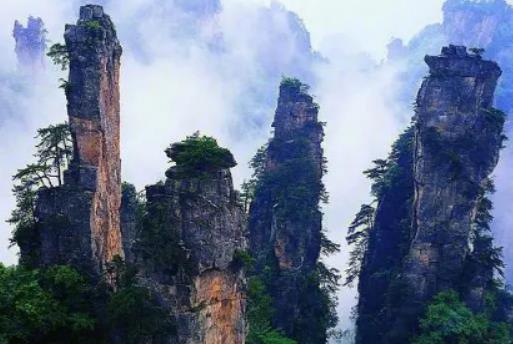 12��ȥ���ҽ��ܿ����Fڡ�᣿���ҽ����Tɽÿ�궼��ѩ��