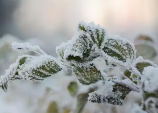 吉林霧凇冰雪節(jié)每天都放煙花嗎?吉林在哪里看霧凇比較好 吉林霧凇冰雪節(jié)每天都放煙花嗎?吉林在哪里看霧凇比較好