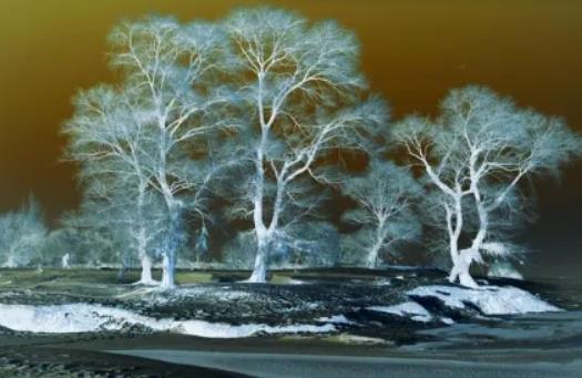 吉林霧凇冰雪節焰火燃放是在幾點?吉林市霧凇冰雪節在哪里舉辦 吉林霧凇冰雪節焰火燃放是在幾點?吉林市霧凇冰雪節在哪里舉辦