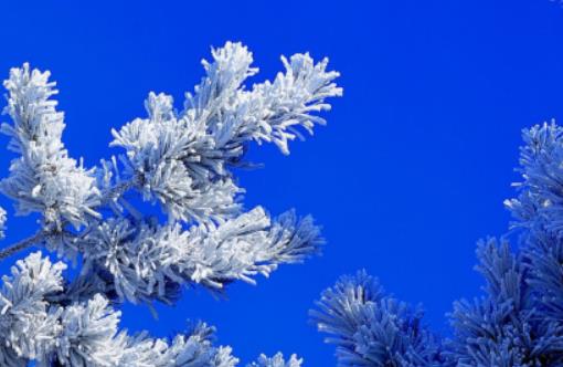 12�³�ȥ�����ܿ����Fڡ�᣿2024�꼪�����Fڡ��ѩ����̖�_ʼ