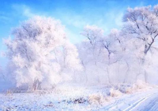 12月初去吉林能看到霧凇嗎?2024年吉林市霧凇冰雪節(jié)幾號開始 12月初去吉林能看到霧凇嗎?2024年吉林市霧凇冰雪節(jié)幾號開始