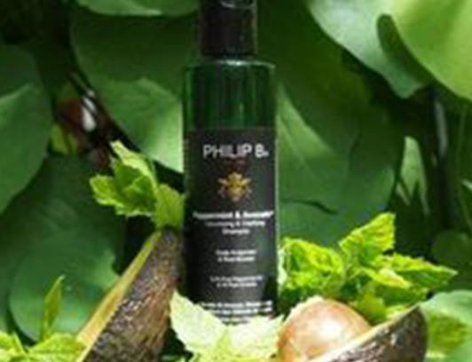 全球十大留香型洗發露,雅琪朵迷迭香精油洗發露、玉之肌洗發露香氣四溢 全球十大留香型洗發露,雅琪朵迷迭香精油洗發露、玉之肌洗發露香氣四溢