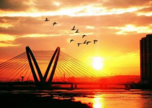 2024���Ӽ�1�·ݚ�ض��ٶȣ�2024���Ӽ�1�·�ȥ��߀��2�·�ȥ��