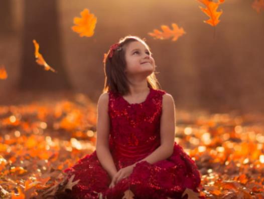 ����������l(f��)�ו�(hu��)Ӱ� ���᣿��ؐ�l(f��)���������ˮ��(hu��)������