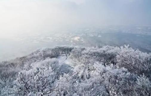 ����ȥ�Ͼ��m�φ᣿ʲô�r���Ͼ����Կ���ѩ